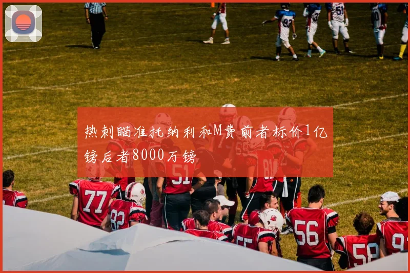 热刺瞄准托纳利和M费前者标价1亿镑后者8000万镑