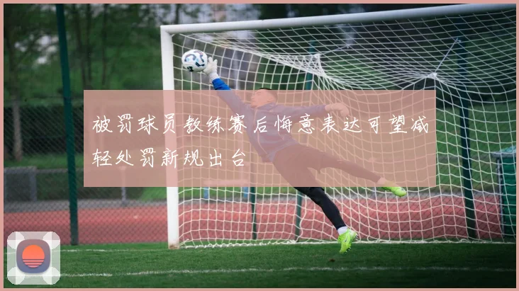 被罚球员教练赛后悔意表达可望减轻处罚新规出台