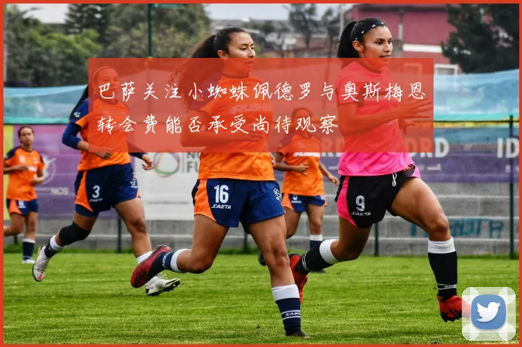 巴萨关注小蜘蛛佩德罗与奥斯梅恩转会费能否承受尚待观察